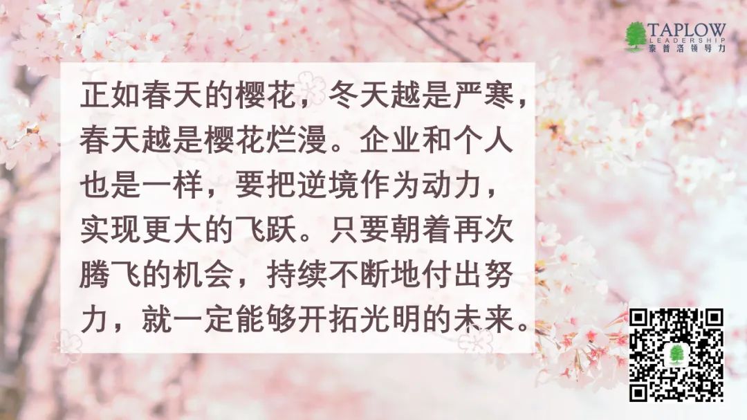 稻盛和夫：越是难熬，越要撑下去，企业逆境生存的11条建议