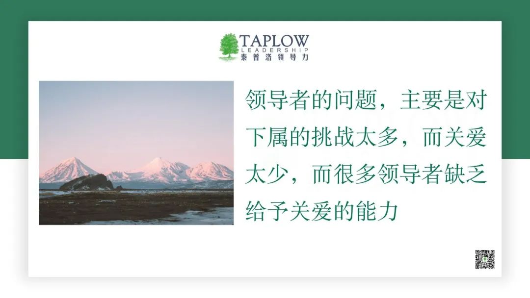 无边界组织的新法则与未来领导者的稀缺能力