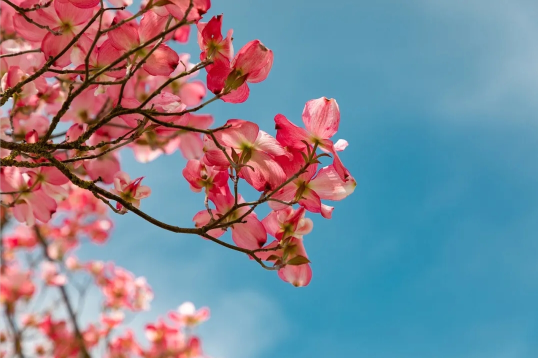 CPI知识课堂第34期 | 轻松性、稳定性与忧虑性：自我觉醒的三重境界