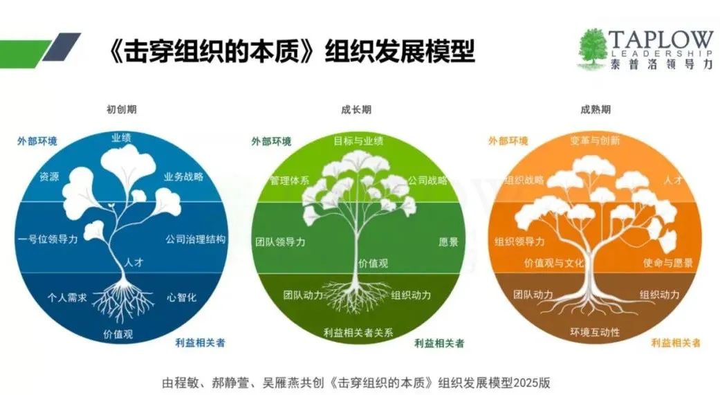 领导组织变革：在结果、支撑和动力层都发力，才能穿越周期