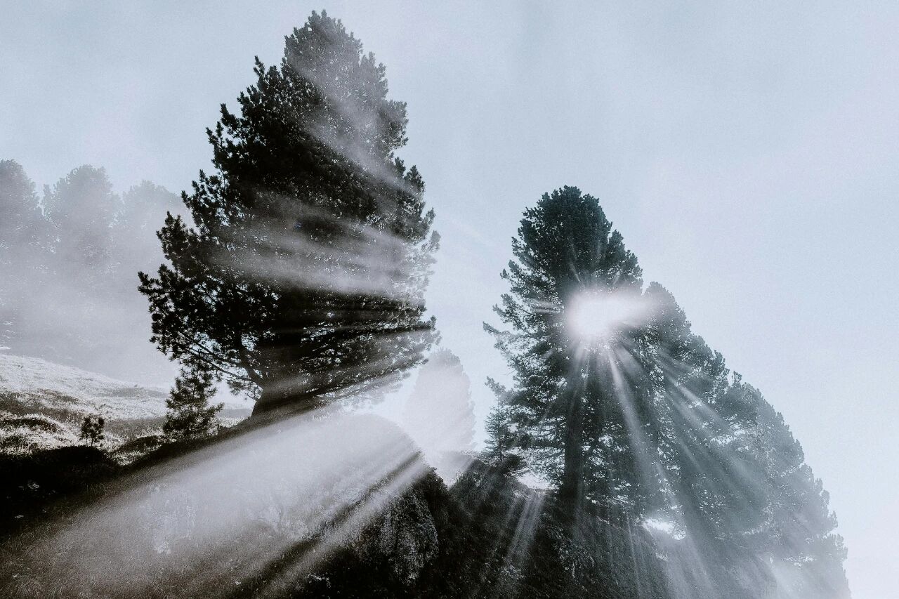 非暴力沟通公式：观察、感受、需要、请求