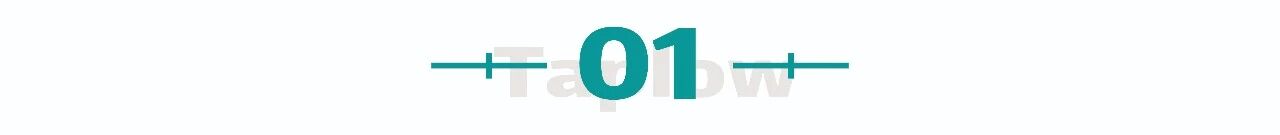 觉醒于此：用「当下的力量」终结精神内耗