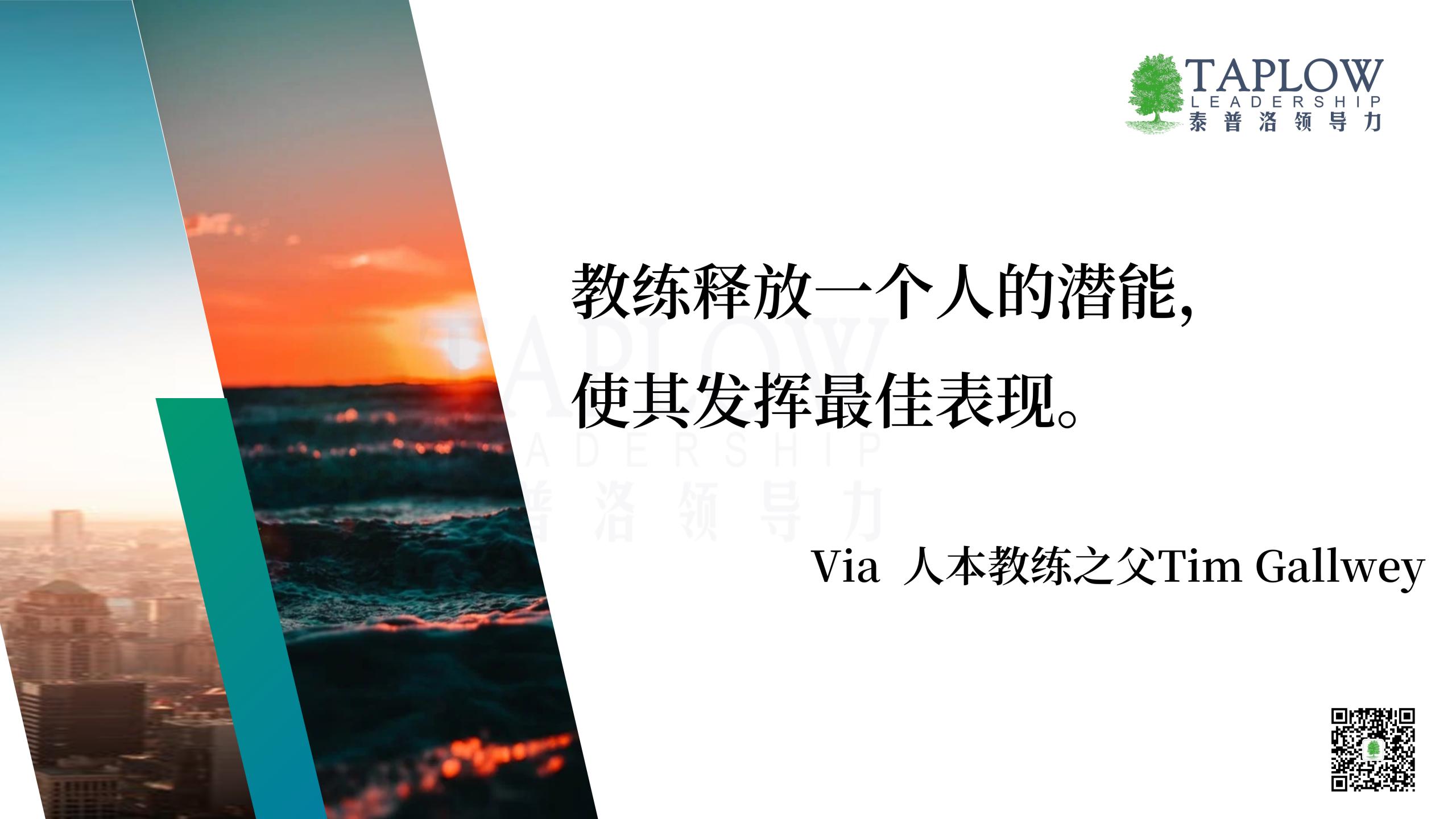 每一位创业者，都需要一位教练