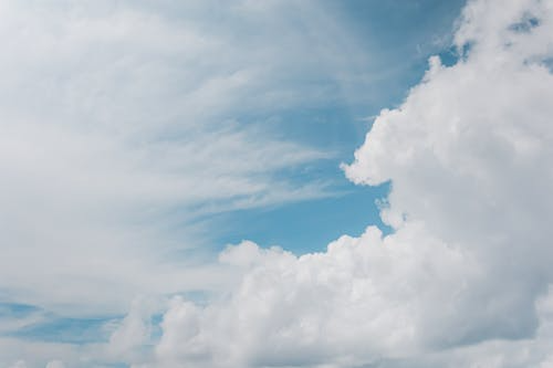 沉没成本模型︱高手的决策分水岭：敢止损，能清零