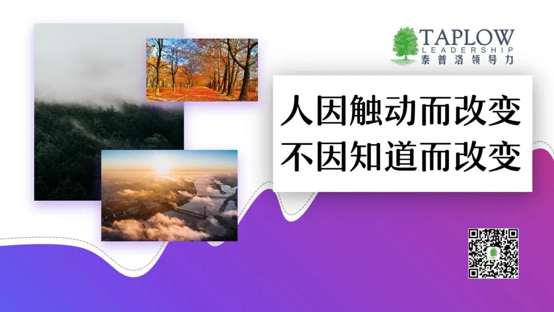 合集 | 1号位四重修炼手册：反求诸己，向内破局